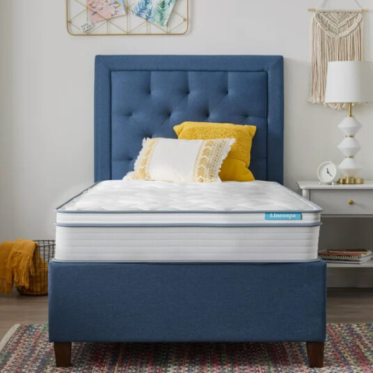 Linenspa Dreamer 8″ or 12″ mattress from $109