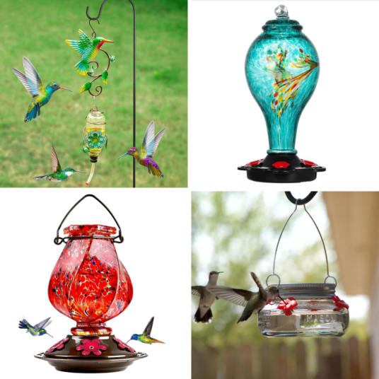 Prime members: Glass hummingbird feeders from $8