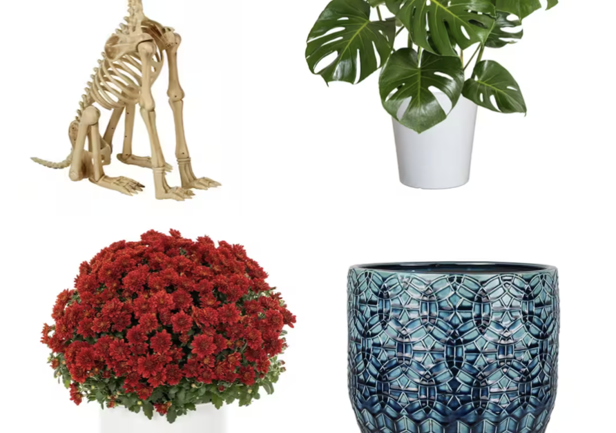 Today only: Take up to 35% off select fall decor and plants